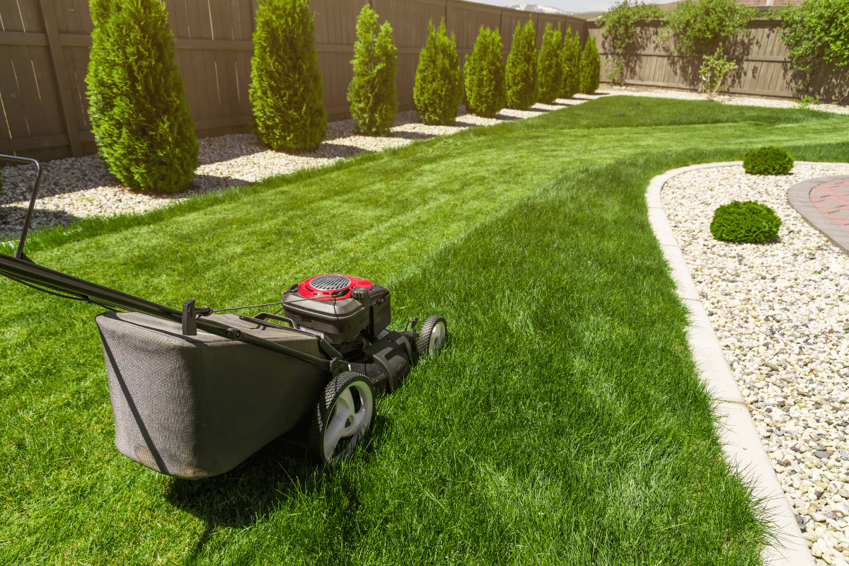 man-cutting-grass-with-lawn-mover-back-yard