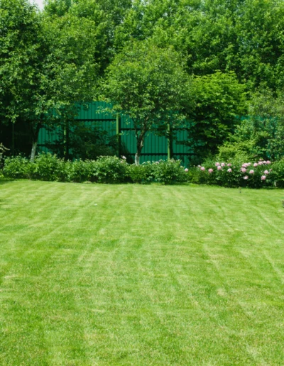 A Beautiful Lawn is the Cornerstone of a Beautiful Yard