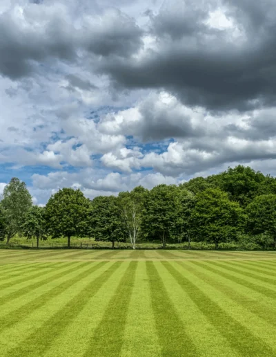 Large Park Field with Striped Grass Central Virginia