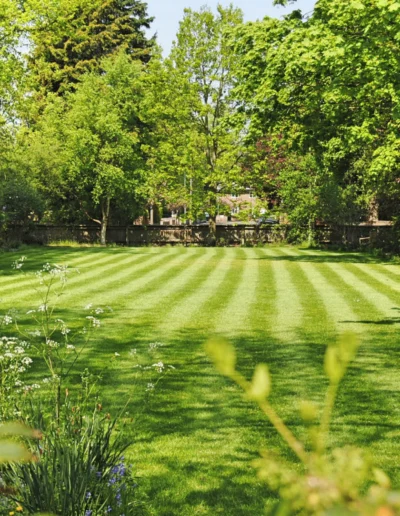 Striped Backyard Lawn Oasis in Central Virginia
