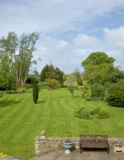 Striped Lawn Field Yard Central Virginia